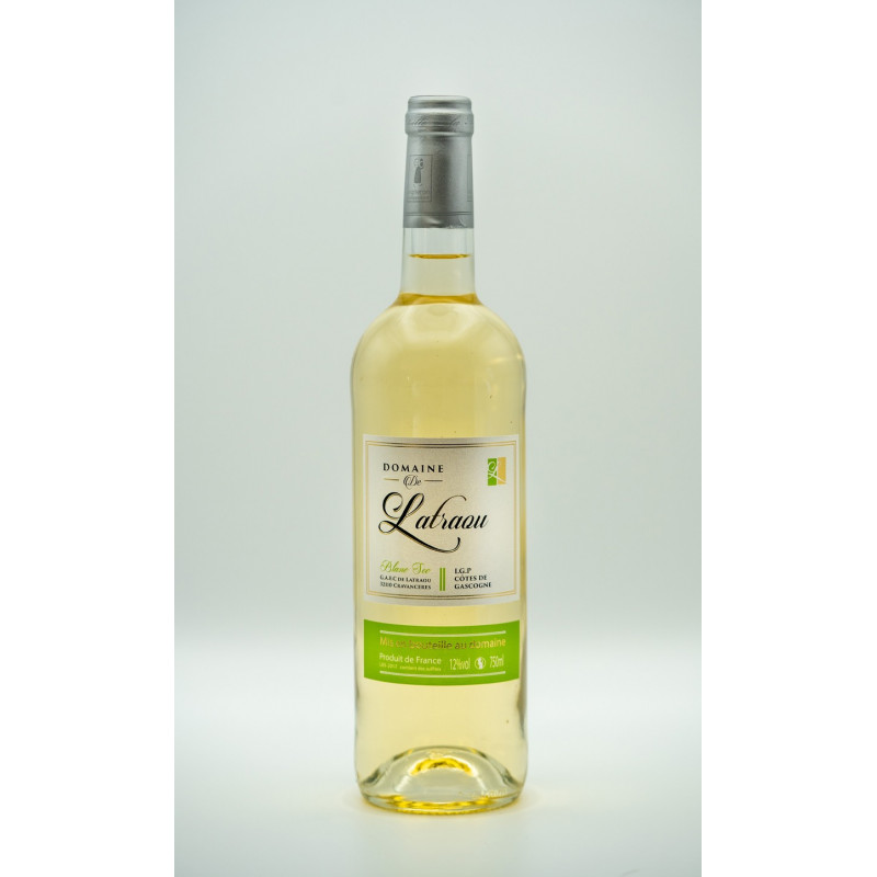 Vin blanc sec de pays des côtes de gascogne