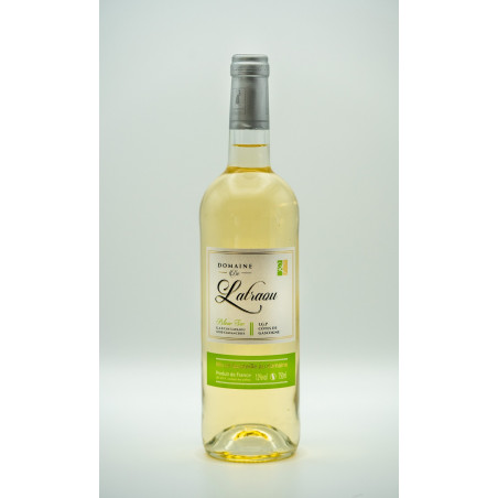 Vin blanc sec de pays des côtes de gascogne