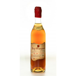 Armagnac millésimé de 1971 - Bas Armagnac  