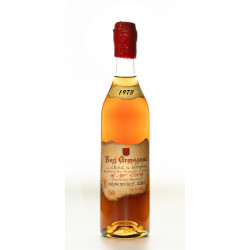 Armagnac millésimé de 1973 - Bas Armagnac  