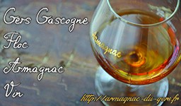 Armagnac-Produits du terroir gersois : Armagnac, Floc Vin